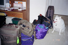 Packed and ready for evacuation due to a wildfire in Orlando, Florida